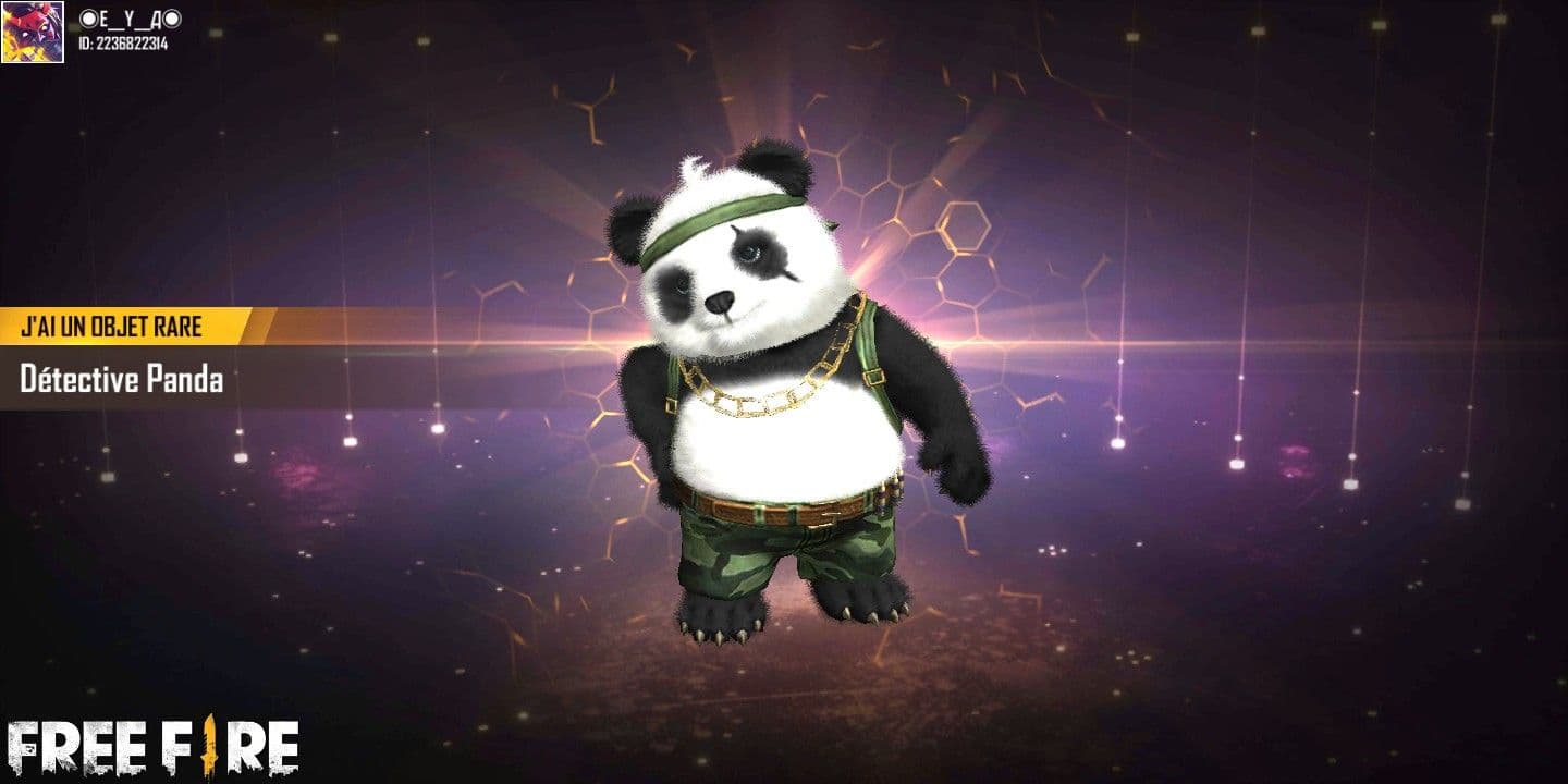 پت Detective Panda