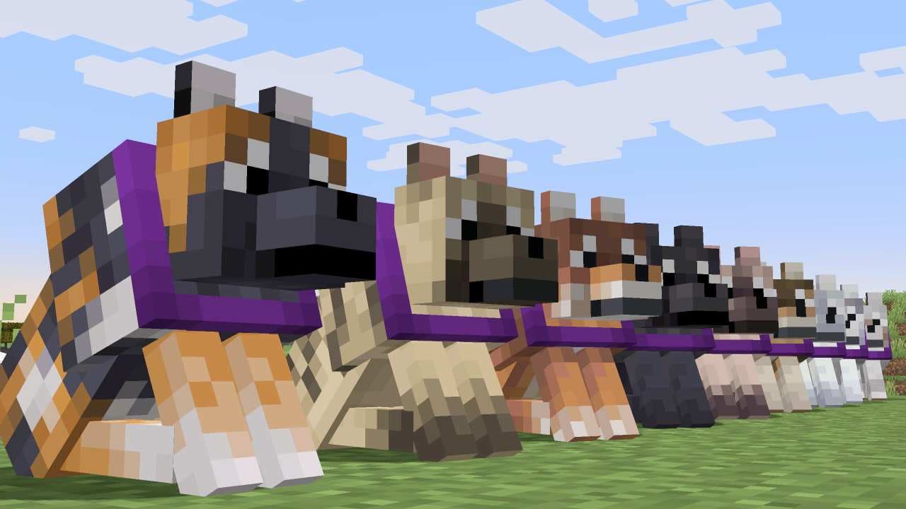 آشنایی با گرگ‌های جدید ماینکرفت [آپدیت 2024]