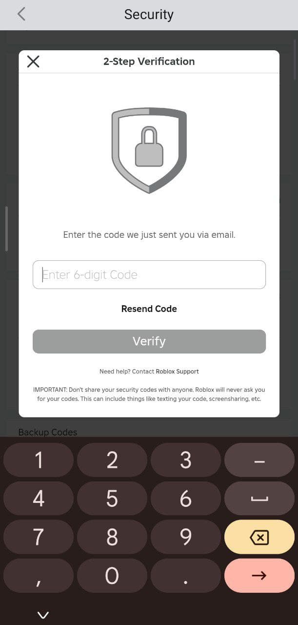 آموزش دریافت کد بکاپ روبلاکس
