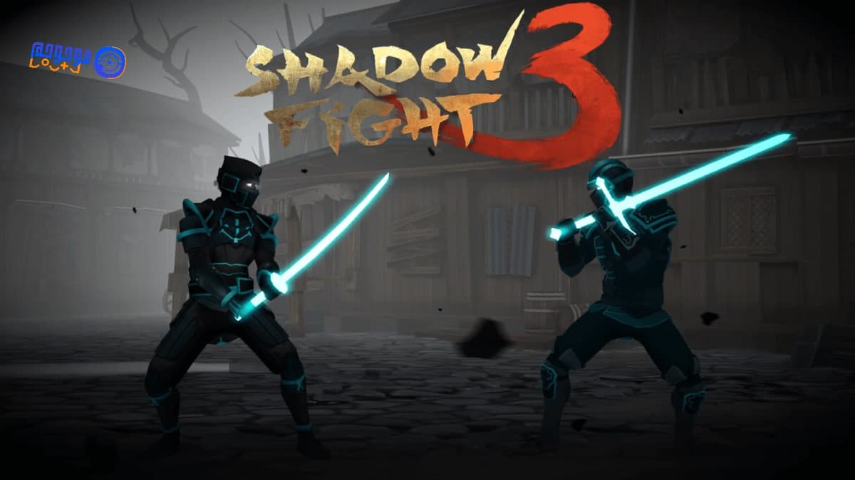 Shadow fight